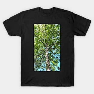 Tree in the park T-Shirt